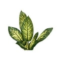 thumbnail image 4 of Artificial Plant - 47" Tall - Indoor - Floor - Potted - Green Leaves, 4 of 6