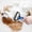 Bule, variant on Deshedding Brush for Dogs and Cats: Undercoat Rake Pet Brush for Long Hair - Dematting Comb Removes Tangles Knots and Loose Fur, Grooming Tool for Thick Coats