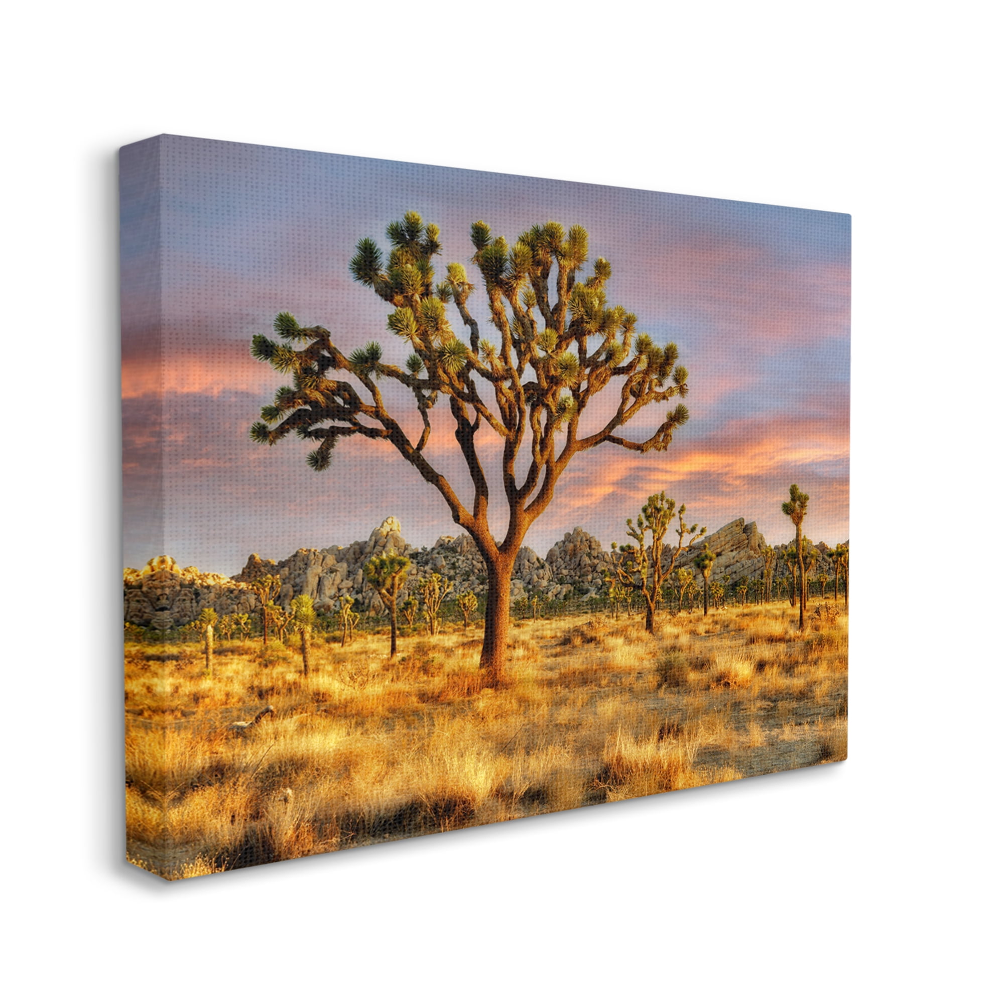 Stupell Industries Savanna Trees Photography Nature Photography Gallery Wrapped Canvas Print Wall Art, 40 x 30