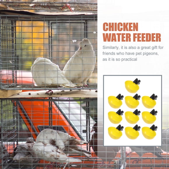 BESTYASH 10Ud Para Automático Para Gallinas Y Perdices Material Plástico