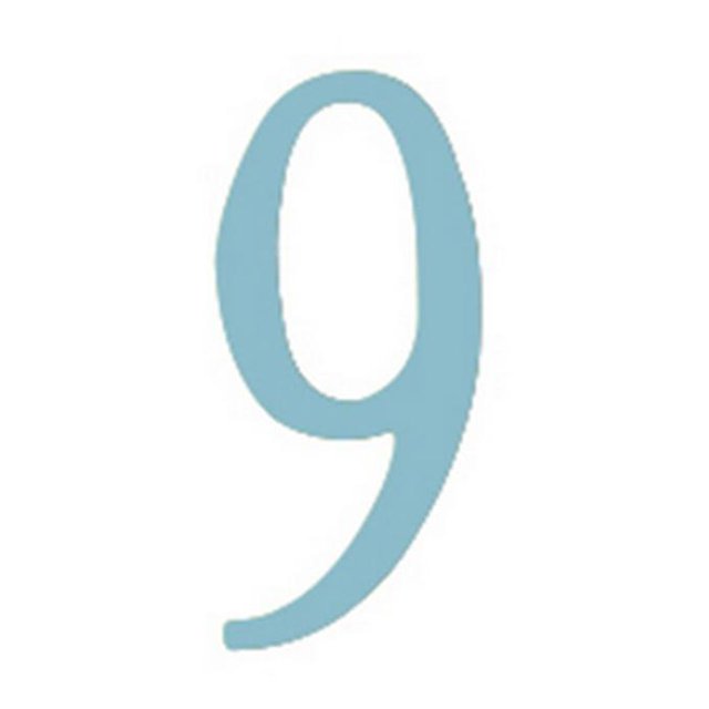 2 inch Stainless Steel Self Adhesive Address Number. Number: 9