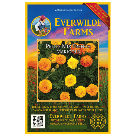 Everwilde Farms - 500 Petite Mix French Marigold Garden Flower Seeds - Gold Vault Jumbo Bulk Seed (Best Marigold Seeds In India)