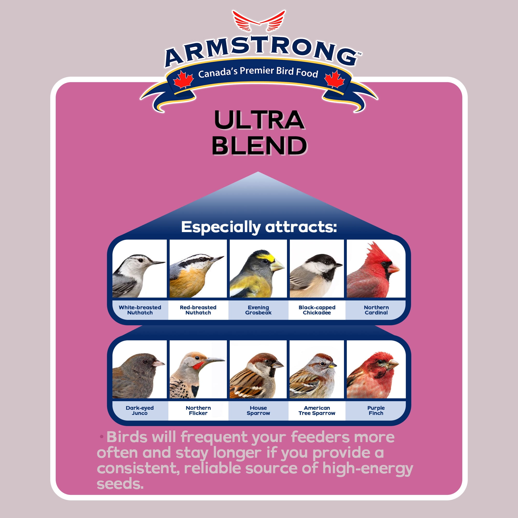 Armstrong Wild Bird Food Ultra Blend, 20 Pound Pail - with White Millet, Red Milo, Wheat, Black Oil Sunflower, Red Millet & Peanuts for Purple Finches, Black-Capped Chickadees and More
