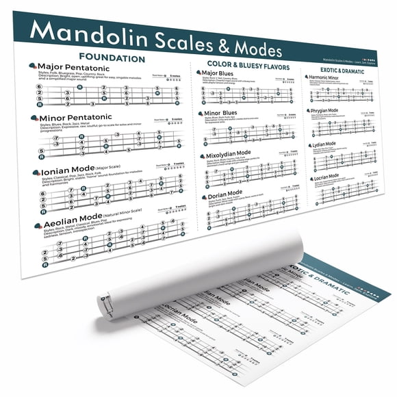 Póster TiMita Mandolin Scales & Modes, 46 x 91 cm, lienzo