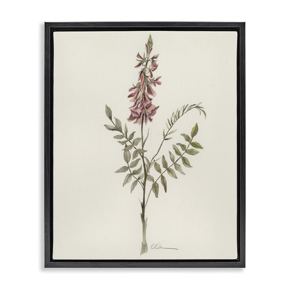 Stupell Industries Transitional Nature's Delicate Herb Sprig Black Floating Frame Canvas Art, 17 x 21, by Cady Driver
