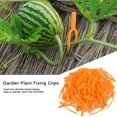 thumbnail image 2 of Qucyy Clips de Fixation en Plastique pour Plantes de Jardinage Réutilisables Dispositifs de Fixation de Melon Rampant Clips de Support de Plantes 100 Pcs pour Dispositif de Pressage de Plantes Fraise Jardinière Pastèque, 2 of 4