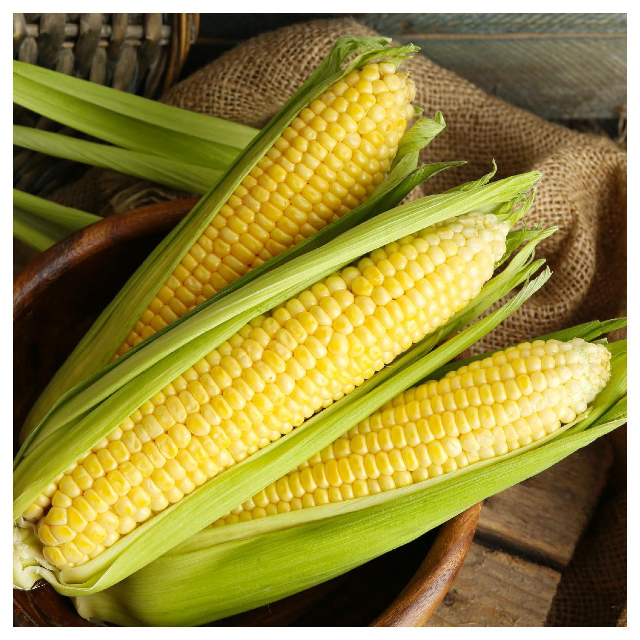 Everwilde Farms - 1 lb Kandy Korn F1 Hybrid Yellow Sweet Corn Seeds - Gold Vault Bulk Seed Packet