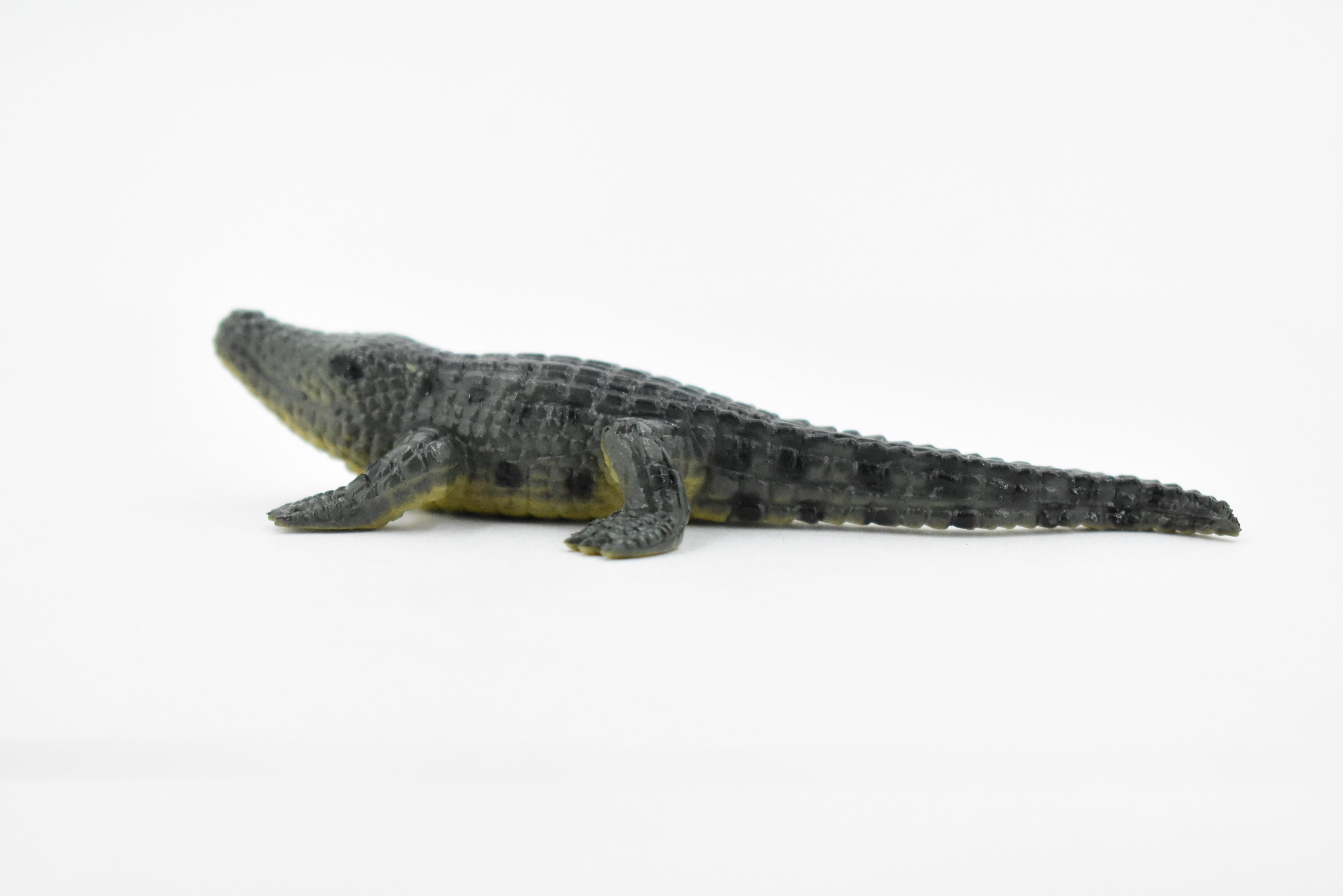 Crocodile, West African Dwarf Crocodile, Rubber Toy Reptile