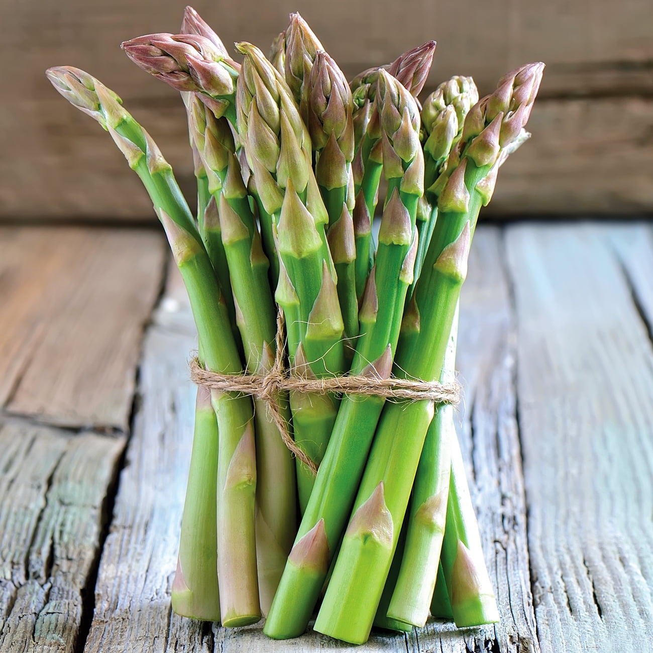 204015 Asparagus Jersey Giant Heirloom Seeds NON GMO for Planting