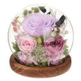 thumbnail image 1 of Rosa de clavel real conservada, regalo para el Día de la Madre, adorno, clavel iluminado en cúpula de cristal, regalos de clavel para mamá y abuela Violeta, 1 of 9
