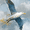 Seagull Flying Abstract, variant on Qisvanset Colorful Textured Abstract Canvas Art 15.75x11.81 Inches