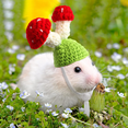 thumbnail image 4 of 10PCS Mini Small Animals Hat with Adjustable Strap Lovely Hand Knitted Tiny Hats for Lizard Guinea Pig Reptile Christmas Holiday Party Clothes Costume Accessories, 4 of 5
