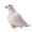 White, variant on Realistic Pigeon Plush Toys Soft Lifelike Pigeons Birds Stuffed Animals Toy Collection Model Gifts
