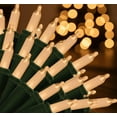 thumbnail image 3 of Brite Star 100 Lt Random Twinkling Mini, clear, green wire, 3 of 15