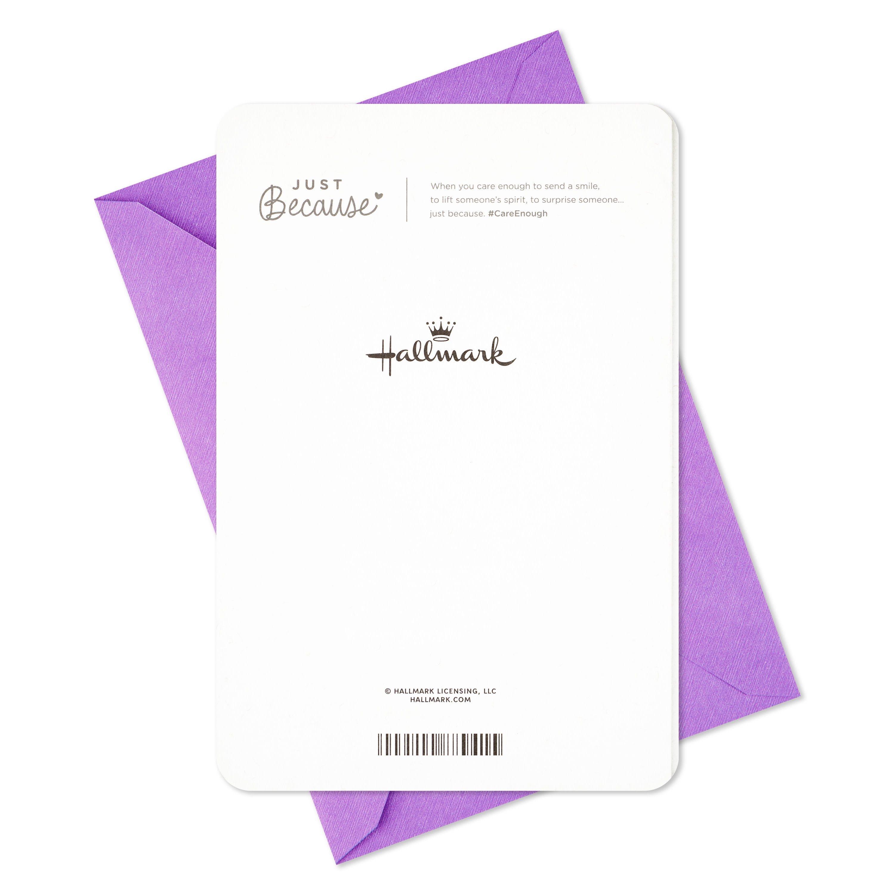 Hallmark Just Because Thinking of You Card (Flower Bouquet)