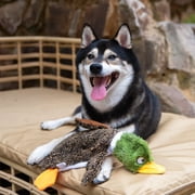Best Pet Supplies Squeaky Dog Toy Bundle with 2 Medium Stuffless Plush Toys & 15 Poop Bags, Hare and Wild Duck