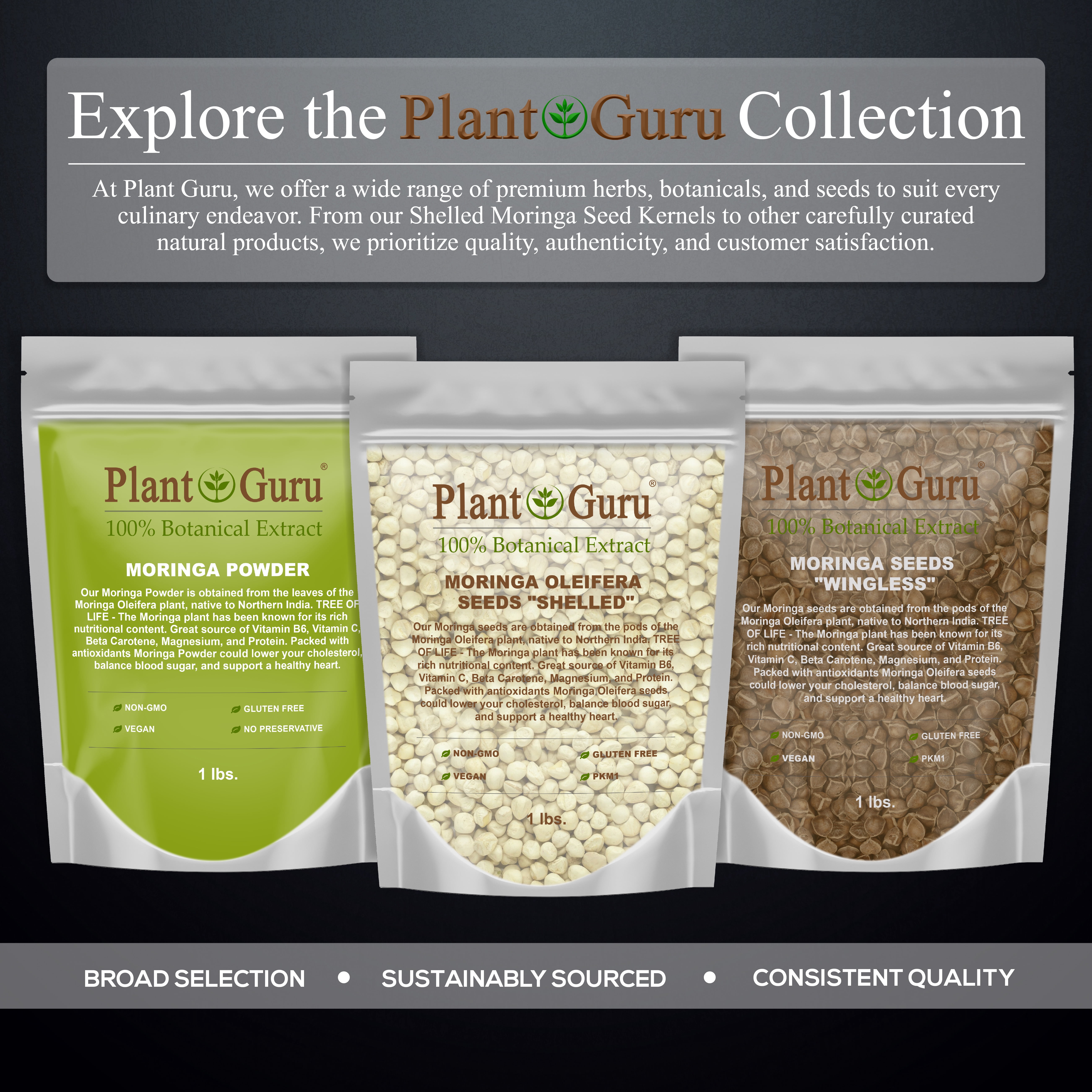 Moringa Seeds Kernel Shelled 5 lbs. Bulk - Clean PKM1 Variety - Edible - Moringa Oleifera - Malunggay - Semillas De Moringa - Drumstick Tree - Non-GMO - 10,000 to 12,000 Seeds Approx.