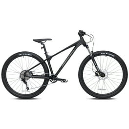 Schwinn al comp weight sale
