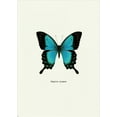thumbnail image 2 of GraphINC 18x24 Gold Ornate Wood Framed with Double Matting Museum Art Print Titled - Blue Butterfly, 2 of 4