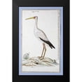 thumbnail image 2 of Gordon, Robert J. 10x14 Black Modern Framed Museum Art Print Titled - Stork, 2 of 5
