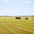 thumbnail image 4 of Blue Mountain Hay | 40 oz. Fresh Orchard Grass Hay | Available in 15 oz. & 40 oz. Pouches | Nutritious, Delicious Meal Or Snack for Rabbits, Guinea Pigs, Hamsters, Gerbils, and Other Small Pets, 4 of 5