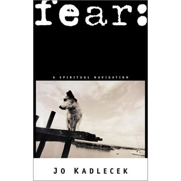 Pre-Owned Fear : A Spiritual Navigation 9780877882688