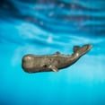 thumbnail image 3 of Whale - Sperm Whale "Moby" - miniature porcelain figurine, 3 of 3