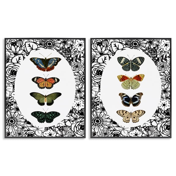 Stupell Industries Floral Butterflies Lineup 2 Piece Black Framed Giclee Art Set, design by Dan Meneely