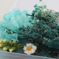 thumbnail image 3 of Flores secas naturales en relieve, flores preservadas, joyería de resina, vela artesanal, artesanía de uñas, decoración de flores para álbum de recortes, 3 of 5