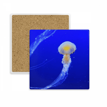 

Ocean Jellyfish Science Nature Picture Square Coaster Cup Mat Mug Subplate Holder Insulation Stone