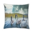 thumbnail image 2 of Ahgly Company Animals Swan Oreiller Extérieur 18 Pouces par 18 Pouces, 2 of 6