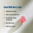 thumbnail image 6 of Nordic Naturals Vitamin D3 Gummies, 1000 IU, Great Taste, Non-GMO, 120 Ct, 6 of 9