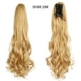 thumbnail image 2 of Reduce Price! WSBDENLK Perruque Queue de Cheval Serrée Européenne et Cheveux Longs Bouclés, 2 of 2