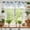 Blue Flowers, variant on 54x18Inch Spring Wildflowers Window Treatment Valance Watercolor Floral Butterfly Plants Leaves Short Topper Curtains Kitchen Bedroom Living Room Farmhouse Rod Pocket Drapes Panels