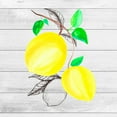 thumbnail image 2 of LightBoxJournal 15x15 Gold Ornate Wood Framed with Double Matting Museum Art Print Titled - Farm Lemon 03, 2 of 4