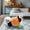 🔥 A_New, variant on YYV Pet Dog Pumpkin Halloween Costume Outfit with Cute Design for Small Medium Large Dogs Holiday Dress Up