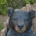 thumbnail image 5 of Hi-Line Gift Ltd. Lone Cub Haven: Intriguing Black Polyresin Bear in Stump Figurine, 5 of 6