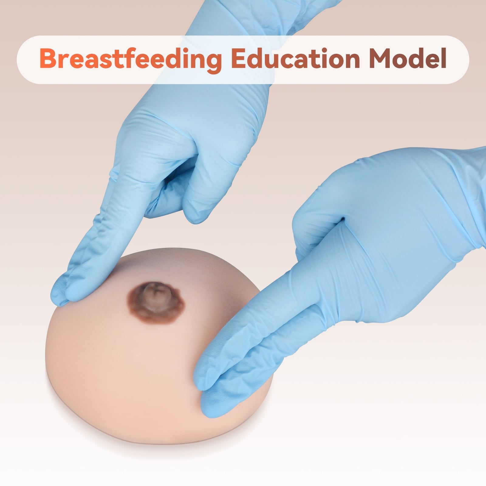 Lactation Breast Model, Artificial Breast for Breastfeeding