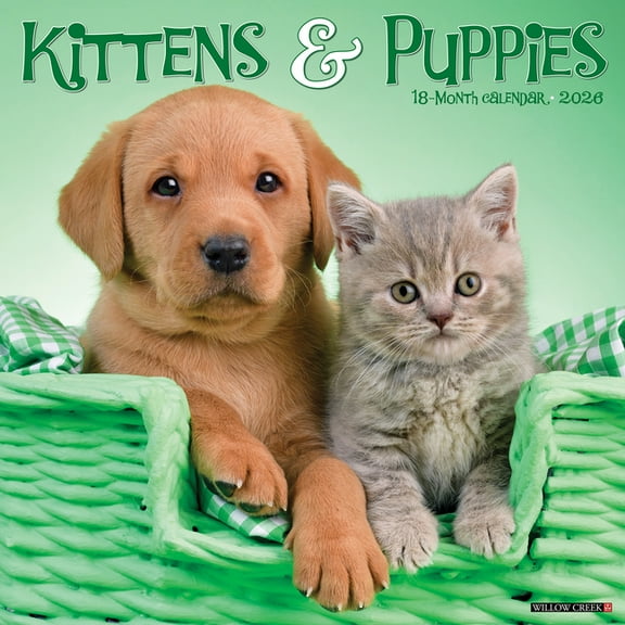 Kittens & Puppies 2026 Wall Calendar, (Paperback)
