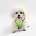 thumbnail image 5 of THE LICKER STORE Arlo Small Adjustable Soft Padded No Pull Pet Harness with 3 Buckles and 3 Leash Clips, Light Green, HNS1001B, 5 of 8