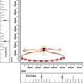 thumbnail image 3 of Gem Stone King 0.50 Ct Round Pink Sapphire 18K Rose Gold Plated Silver Bracelet for Women, 3 of 3