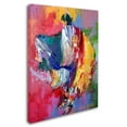 thumbnail image 2 of Trademark Fine Art "Pow" Canvas Art by Richard Wallich, 2 of 3