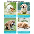 thumbnail image 3 of CSChome Pantalons Physiologiques pour Animaux de Compagnie Pantalons Menstruels pour Animaux Motifs de Dessin Animé Mignons Couches pour Chiens Réutilisables Haute Absorption, 3 of 7