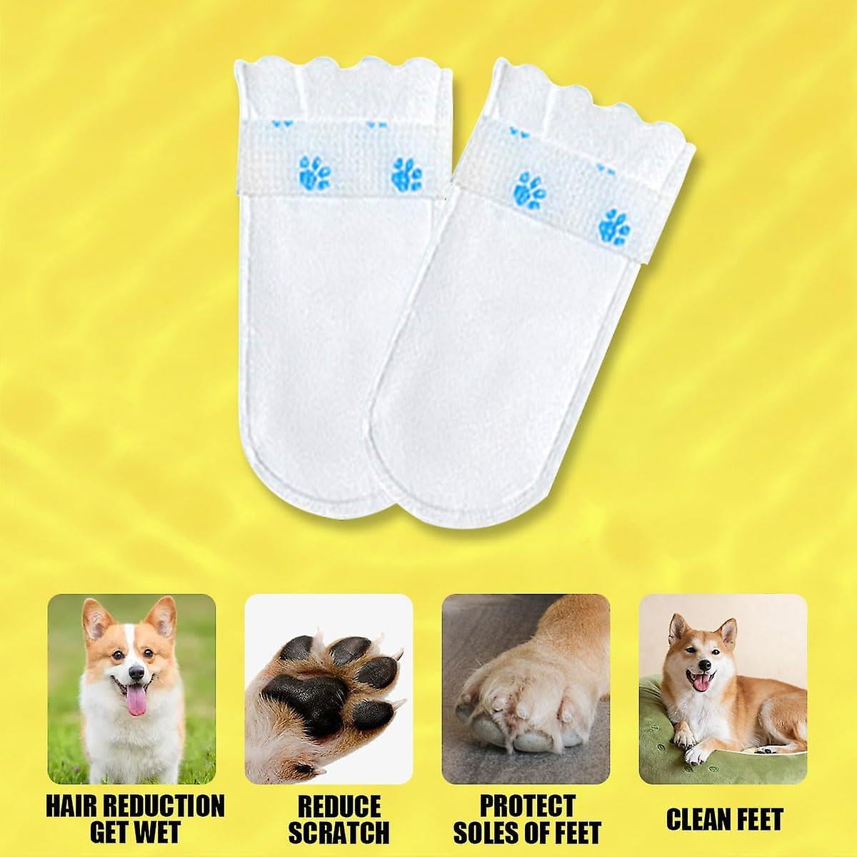 Disposable dog booties 2025