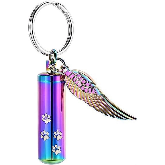 Heart Cremation Ash Urn Keychain for Pet Ashes Paw Print Memorial Ash Jewelry Pet Keepsake Urn Key Chain for Ashes for Dog Cat