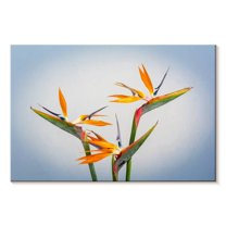 Elephant Stock Yellow Strelitzia Wall Art - Horizontal Canvas Wall Art - Living Room Wall Decor - Floral And Botanical Canvas - Blue And Green Decor - 12" x 8"
