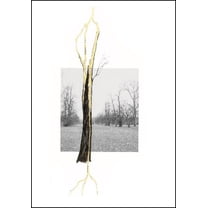 Giuseppe Penone: Thoughts in the Roots, (Hardcover)