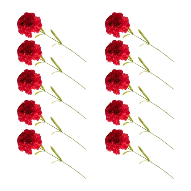 Cateissary 10 Uds. De flores artificiales de clavel, regalo de flores de seda falsa, boda nupcial, flores para accesorios de fotos, fiesta en la Decoración Rojo