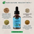 thumbnail image 4 of Animal Essentials Healthy Gut 1-Ounce Herbal Prebiotic Formula for Dogs and Cats, 4 of 9