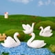 thumbnail image 4 of KALLORY 8Ud Adorno Cisne De Resina Liviana Para De Micro, 4 of 8